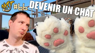 Devenir UN CHAT - HTT #66