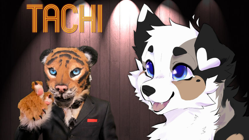 Highlight : TACHI
