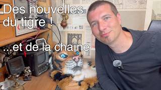 Des nouvelles du tigre ! (et de la cha&icirc;ne)
