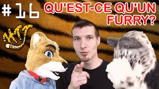 Qu'est-ce qu'un FURRY ? - HTT #16