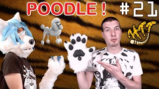 Le POODLE ! - HTT #21