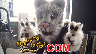 Le site Highway To Tail (.com)
