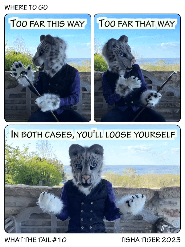 Comic strip
1) Grumpy old snow leopard showing his side saying "Too far this way"
2) Showing his other side saying "Too far that way"
3) Raising his shoulders saying "In both cases, you'll loose yourself"