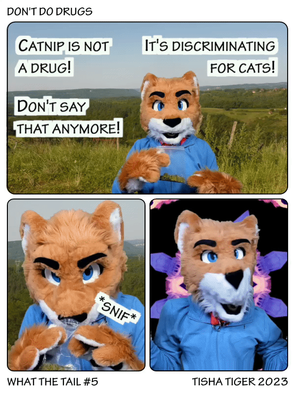Comic strip
1) Cat showing a catnip bag, saying "catnip is not a drug, don't say that anymore, it's discriminating for cats!
2) Cat sniffing the catnip
3) Drugged cat with psychedelic effect