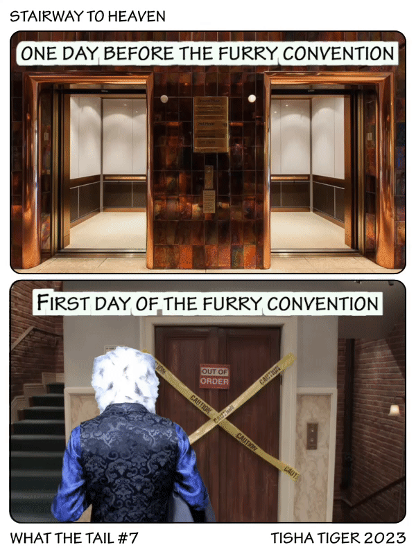 Comic strip
1) One day before the furry convention, photo of a nice looking hotel elevator
2) First day of the furry convention, photo of the broken elevator from The Big Bang Theory, with a fursuiter doing the lost travolta meme